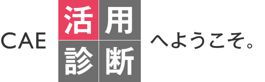 CAE活用診断へようこそ。